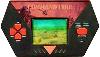 Acclaim: Combat Zone , 