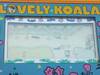 Takatoku: Lovely Koala , 