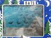 Addex: Bats , 